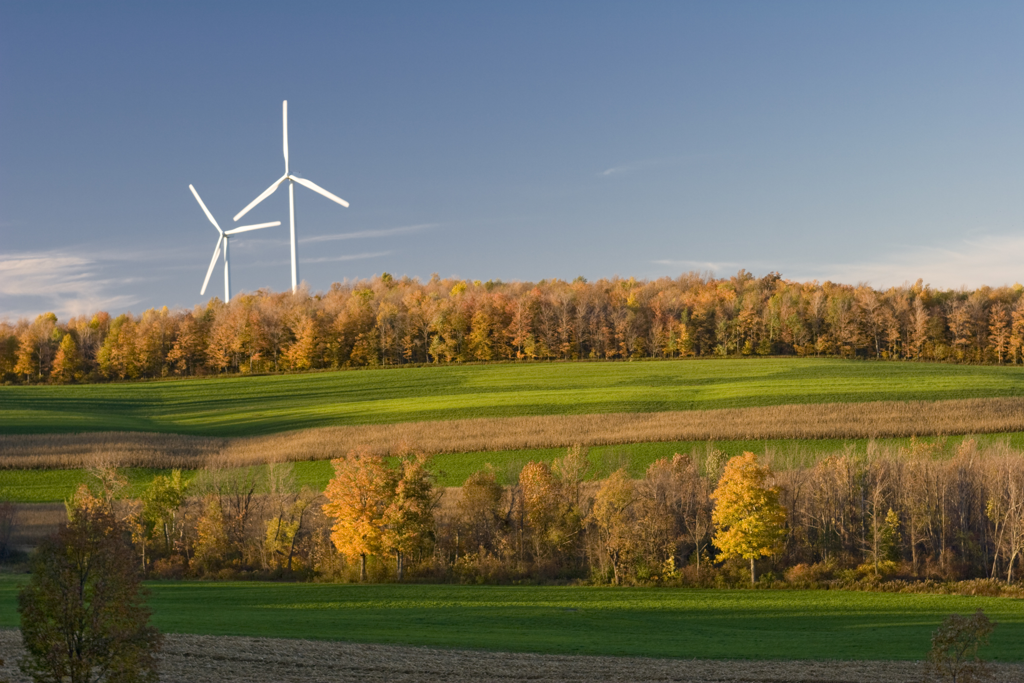 Accelerating Renewable Energy while Protecting Wildlife